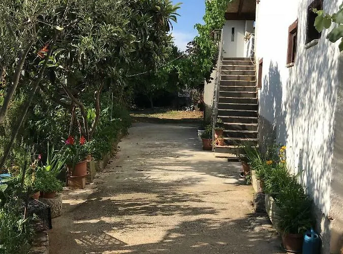 Jonas * Ρόβινι