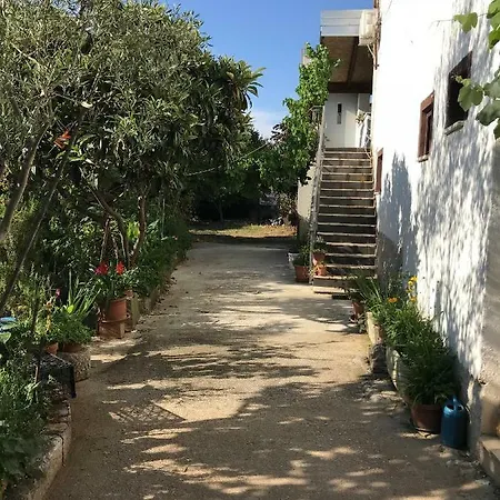 Jonas * Rovinj